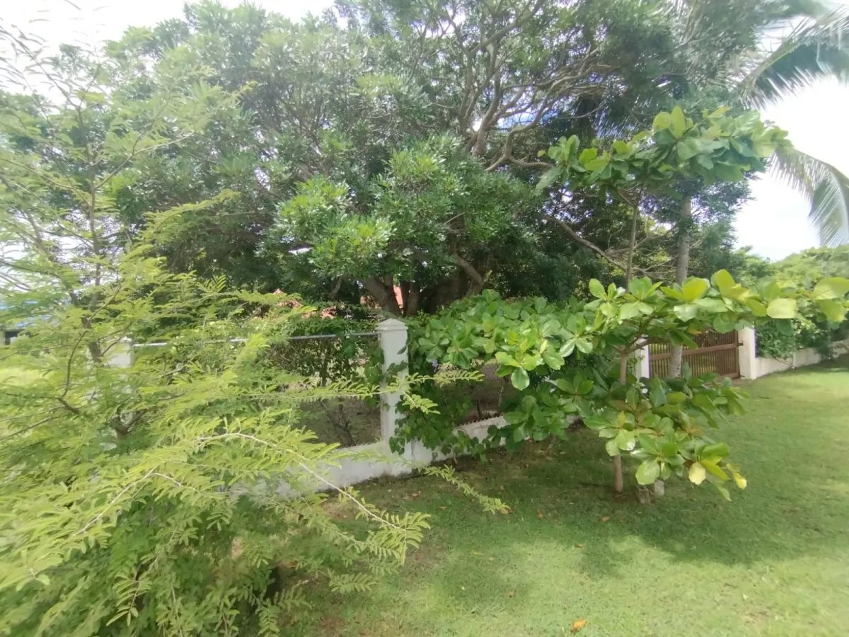 Unimproved Land For Sale in Punta Chame