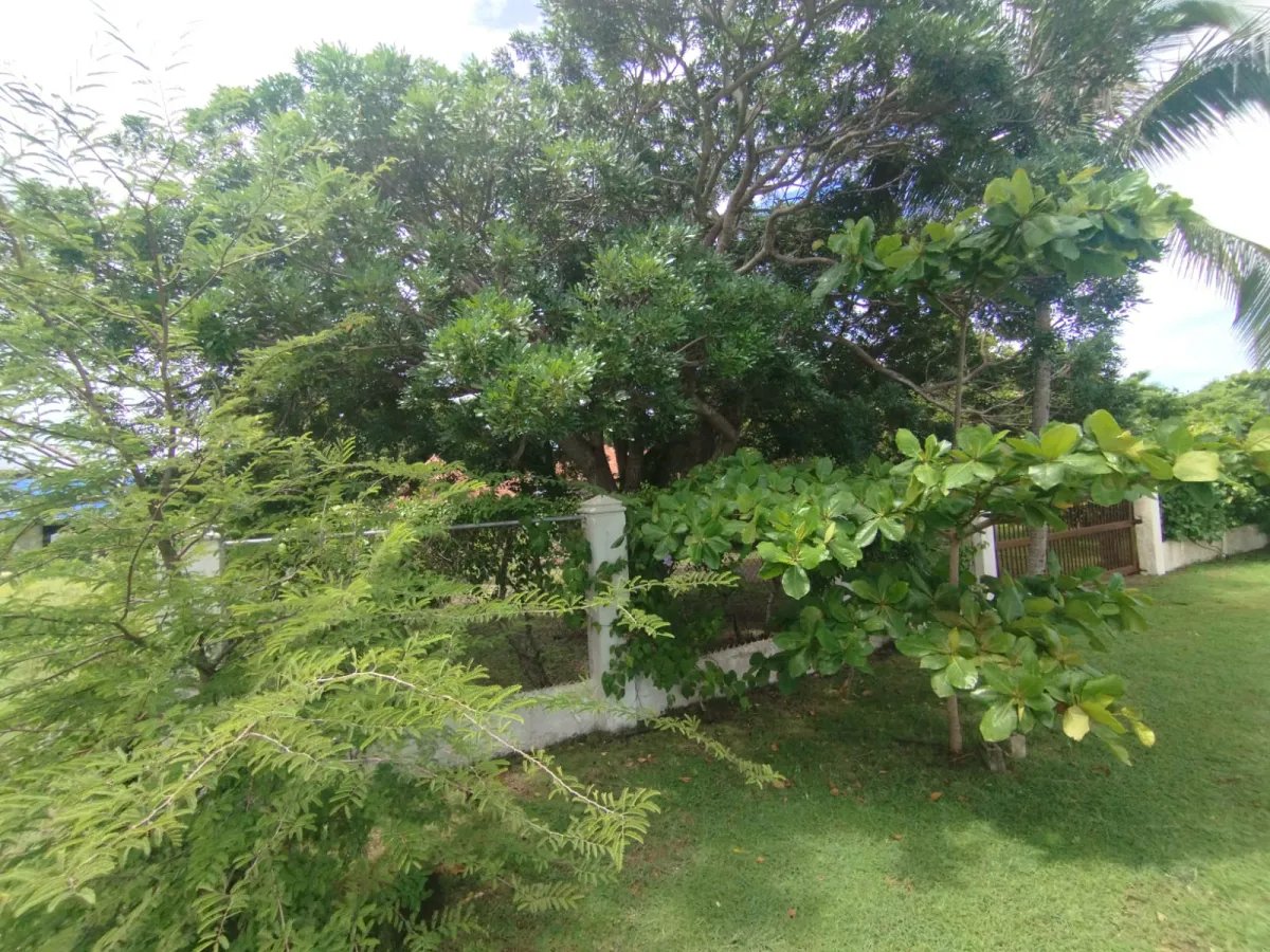 Unimproved Land For Sale in Punta Chame