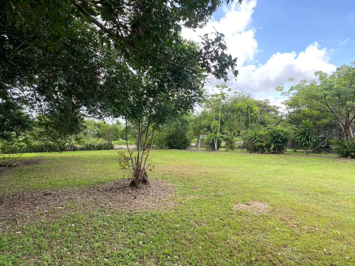 Farm For Sale in Alanje
