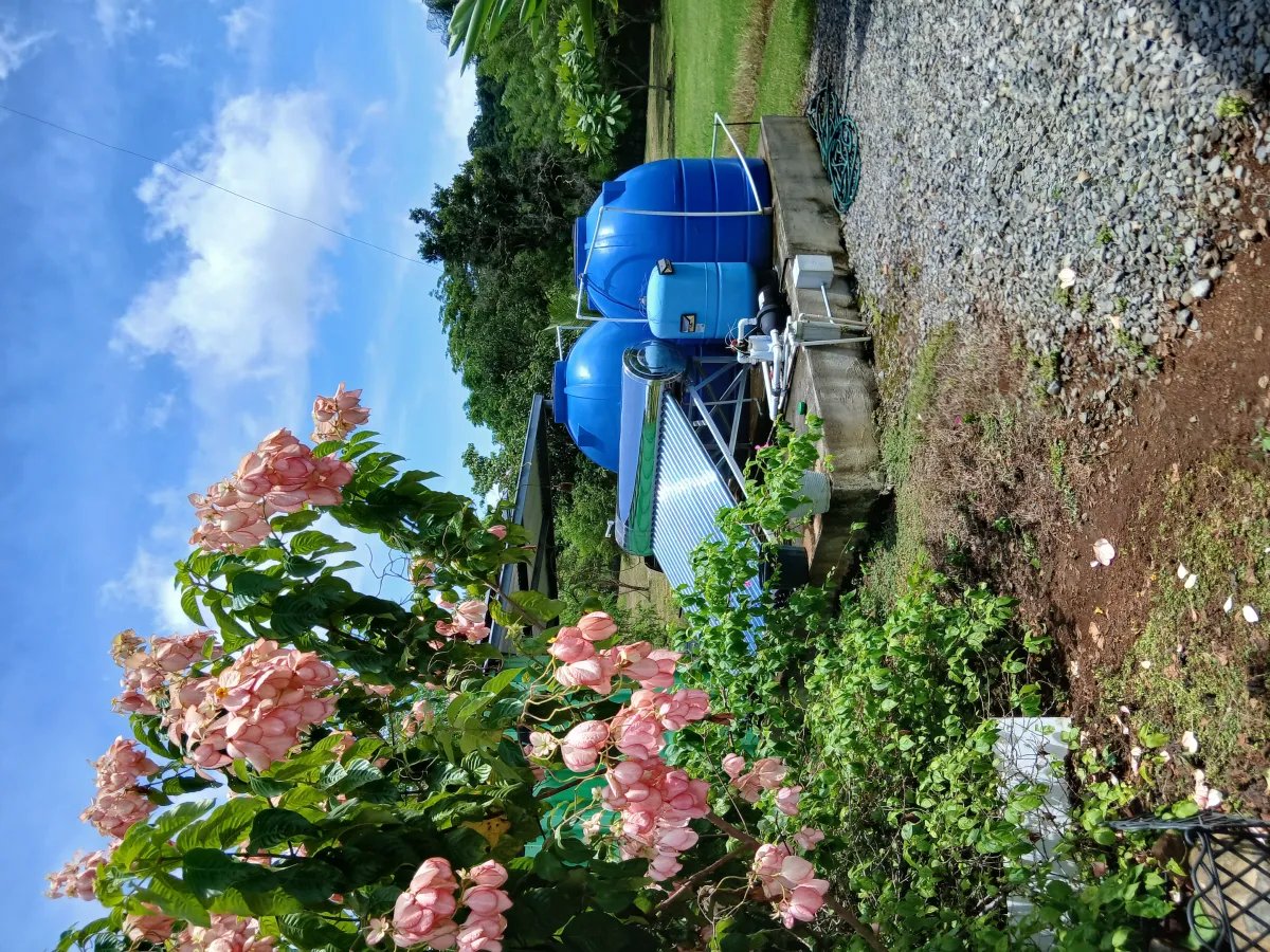 Farm For Sale in Las Lomas