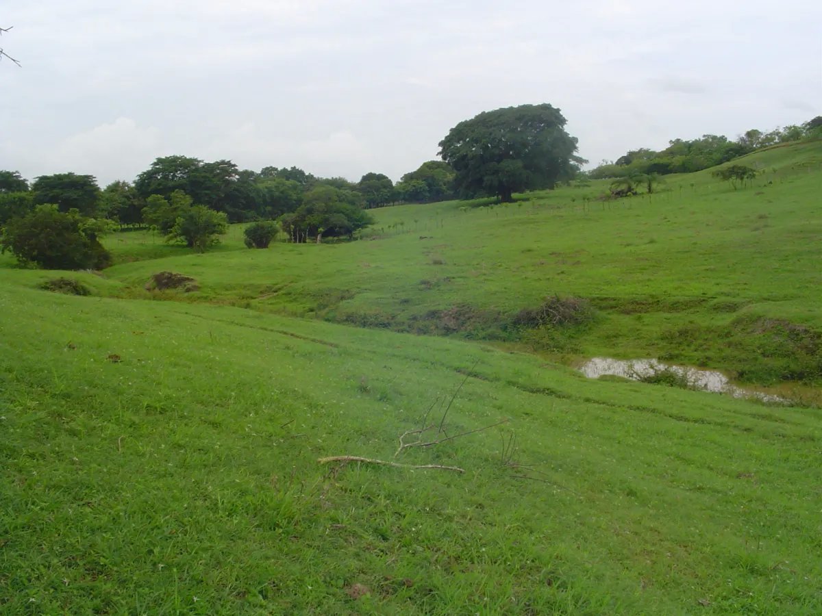 Unimproved Land For Sale in Parita, Potuga