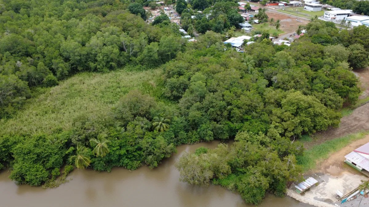 Unimproved Land For Sale in pedregal
