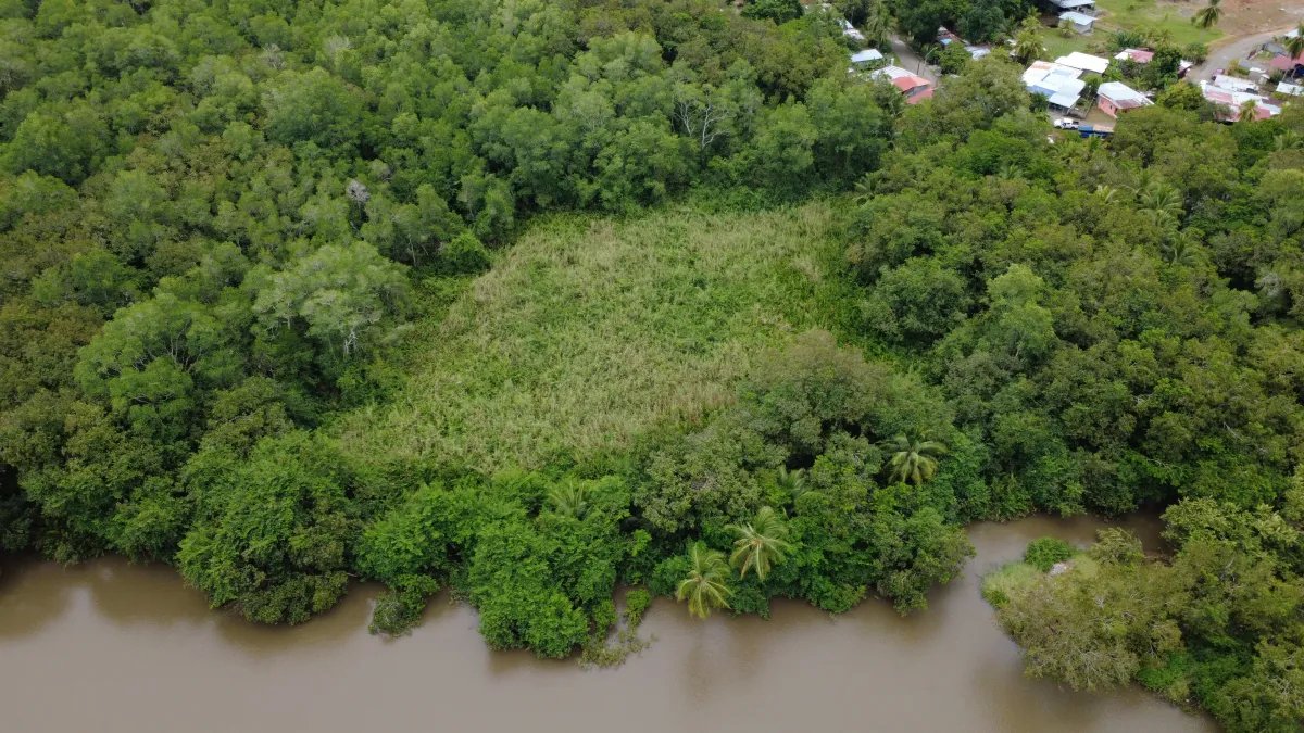 Unimproved Land For Sale in pedregal
