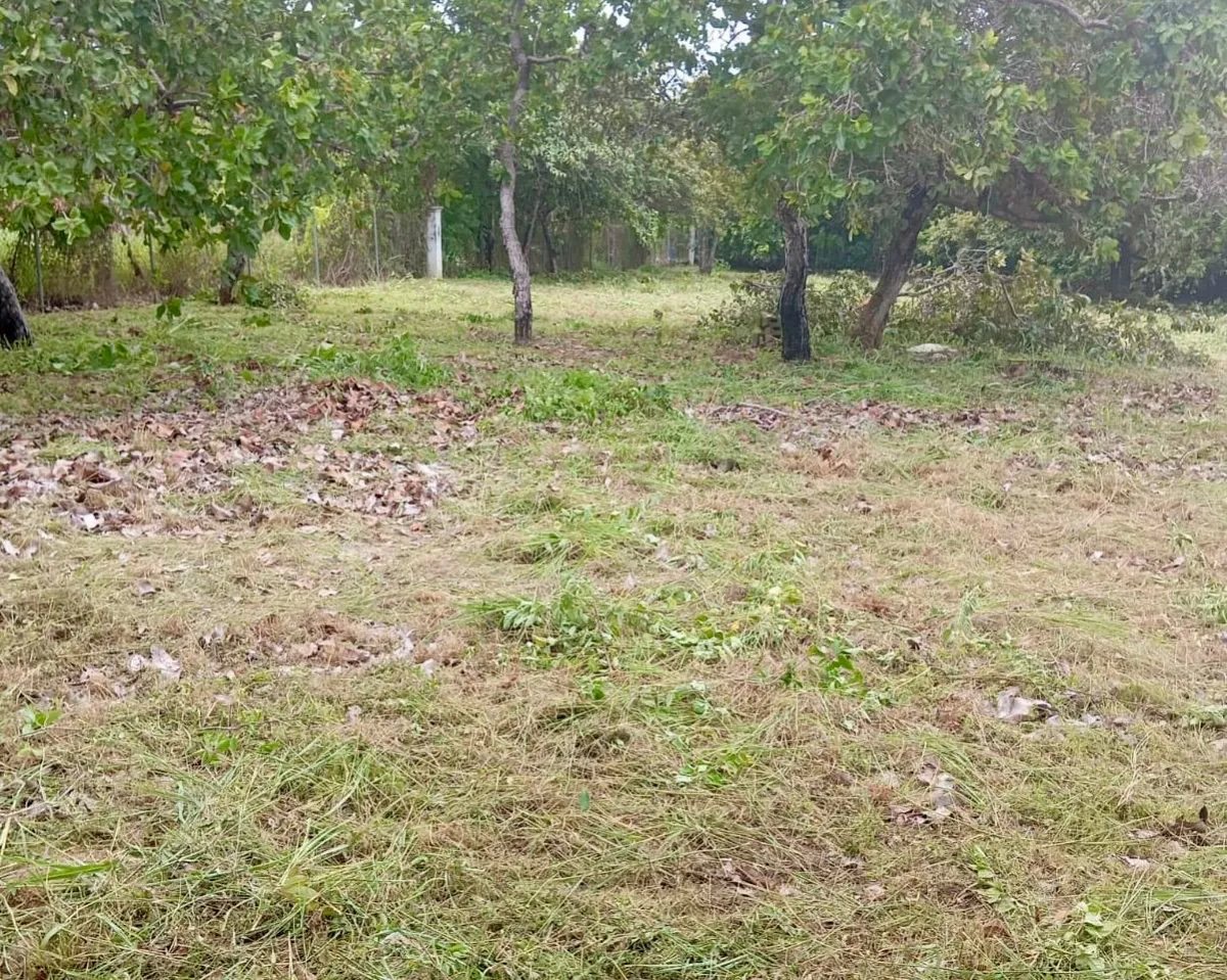 Unimproved Land For Sale in Coronado, Corregimiento de Nueva Gorgona
