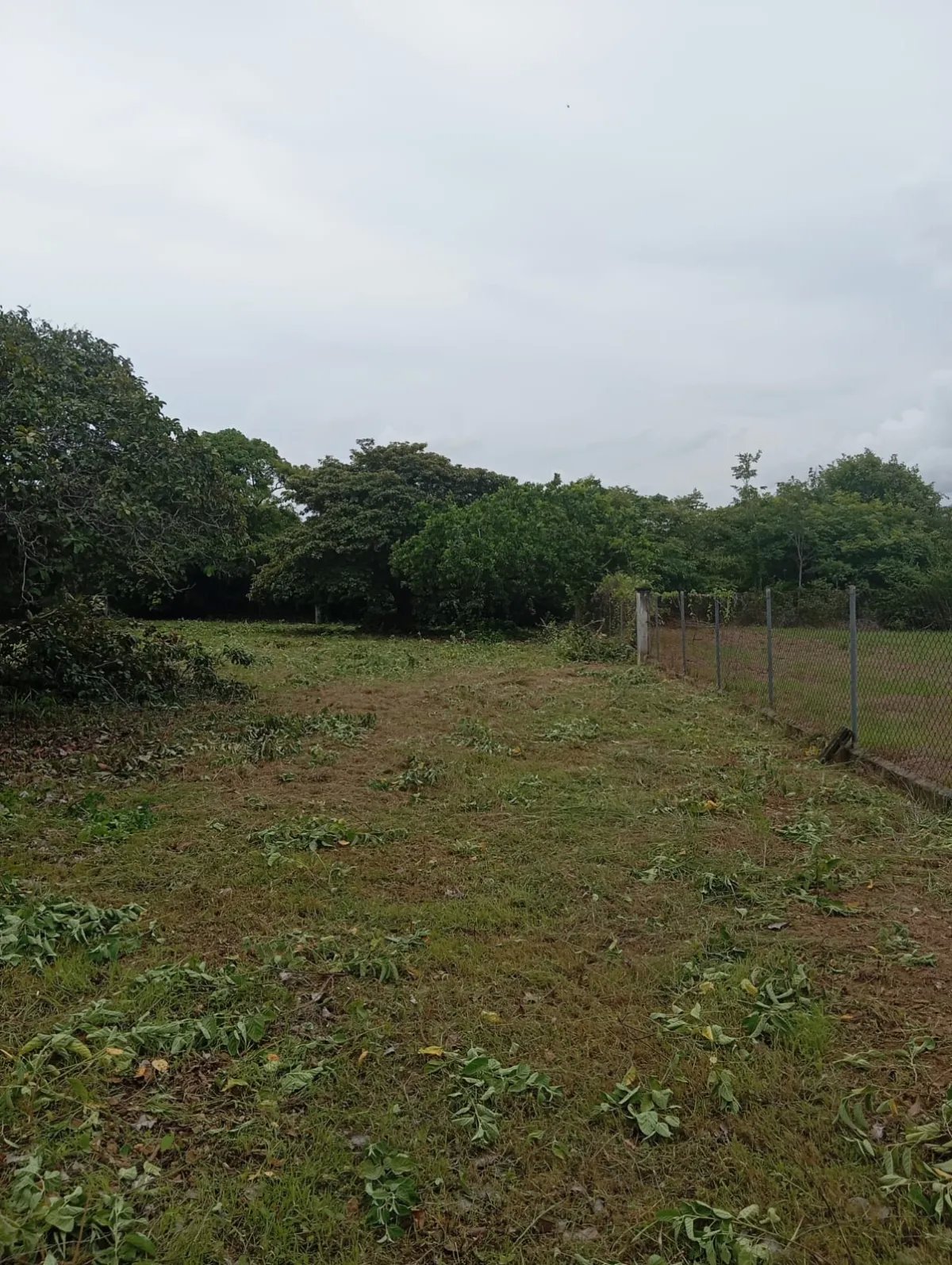 Unimproved Land For Sale in Coronado, Corregimiento de Nueva Gorgona