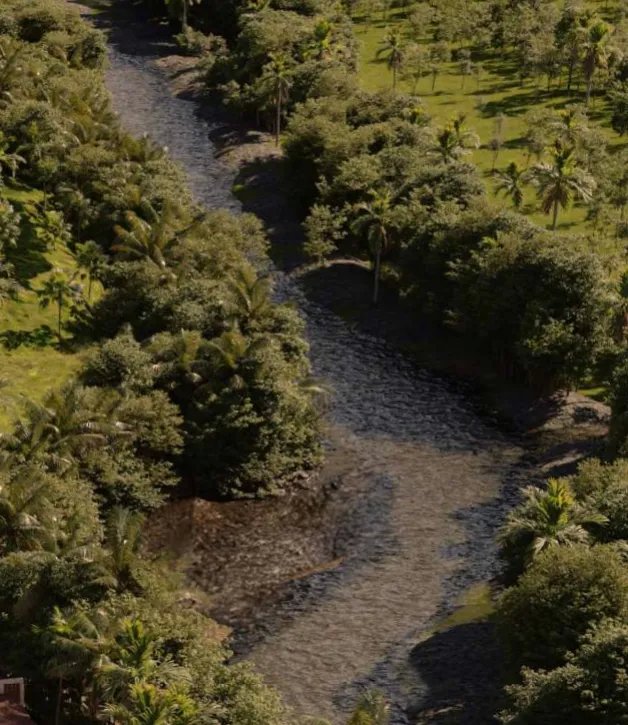 Agriculture For Sale in San Carlos