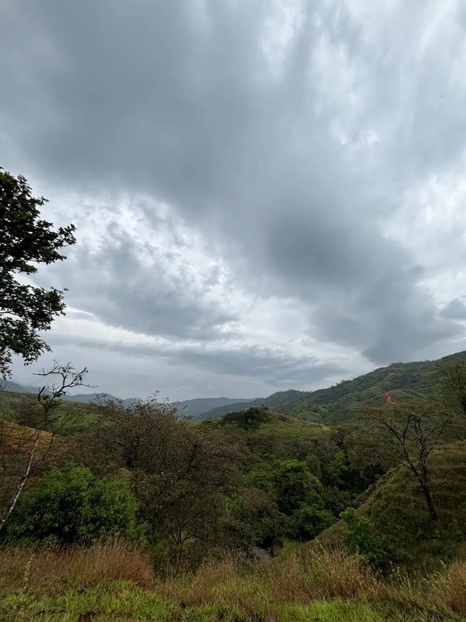 Unimproved Land For Sale in Torio, Mariato