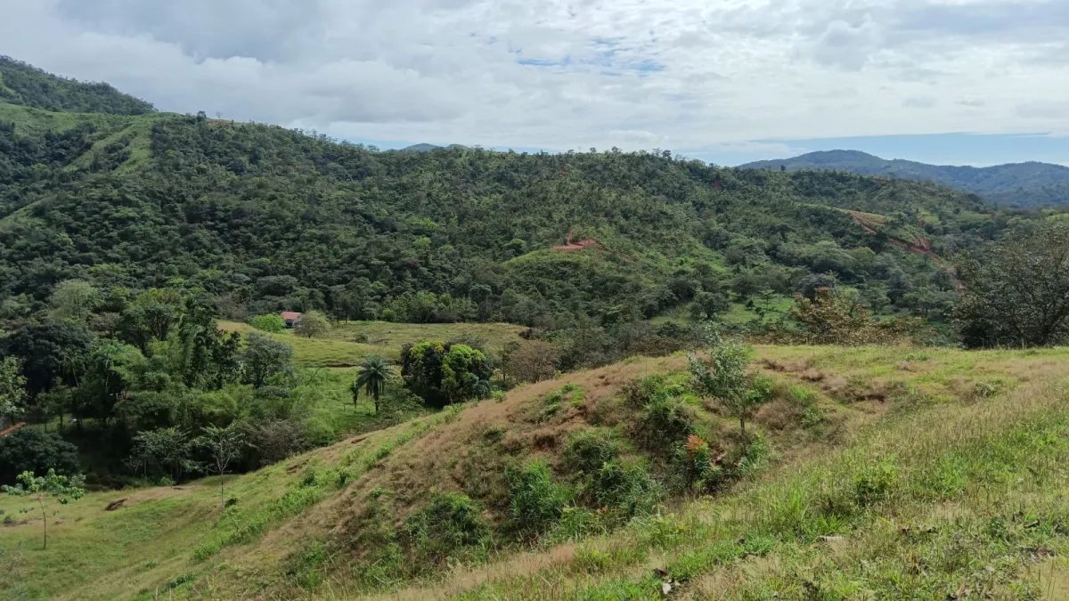Unimproved Land For Sale in Torio, Mariato