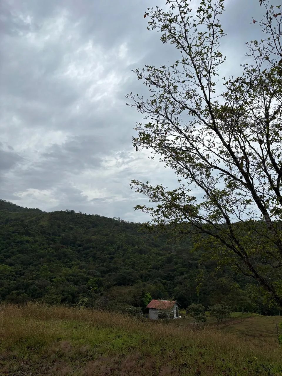 Unimproved Land For Sale in Torio, Mariato