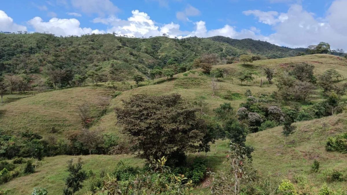Unimproved Land For Sale in Torio, Mariato