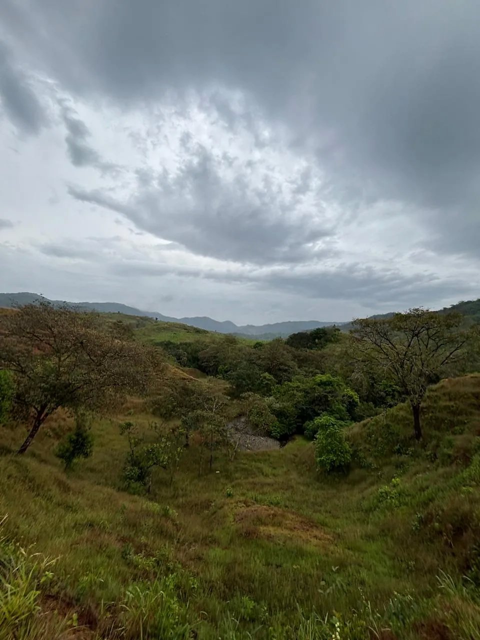 Unimproved Land For Sale in Torio, Mariato