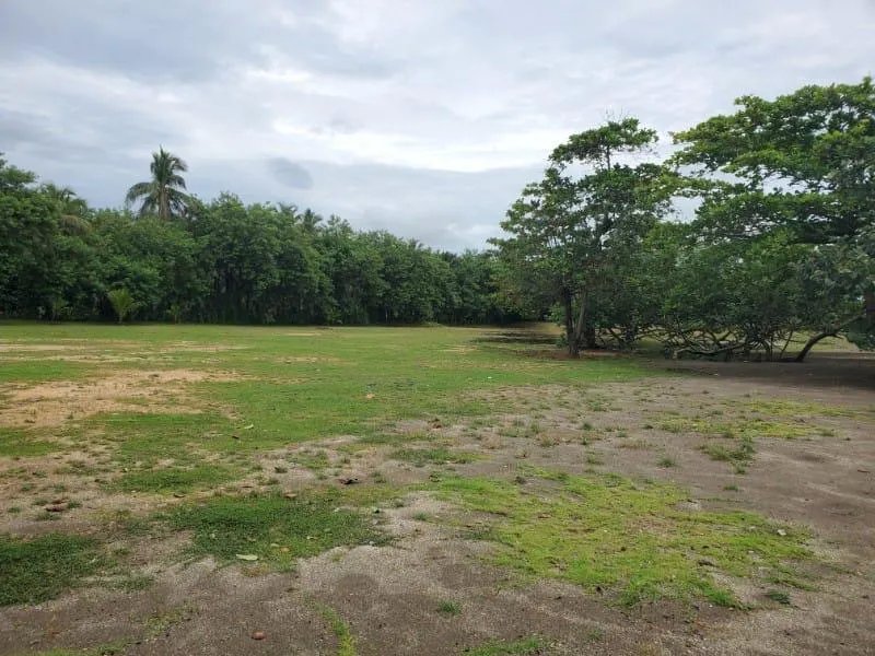 Agriculture For Sale in Nombre de Dios