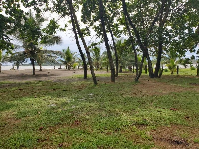 Agriculture For Sale in Nombre de Dios
