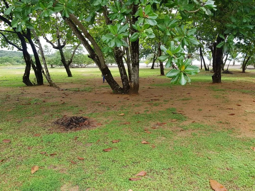 Agriculture For Sale in Nombre de Dios