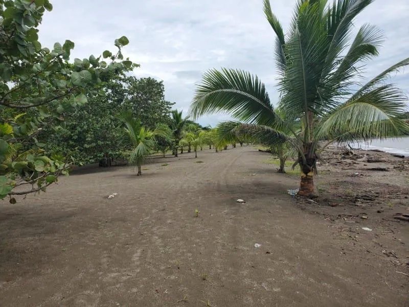 Agriculture For Sale in Nombre de Dios