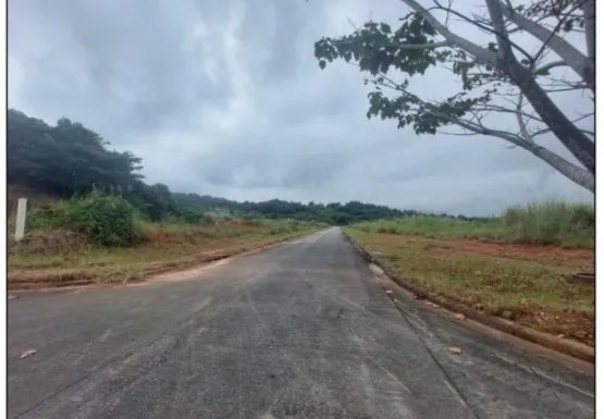 Agriculture For Sale in Pedregal
