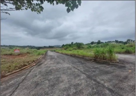 Agriculture For Sale in Pedregal