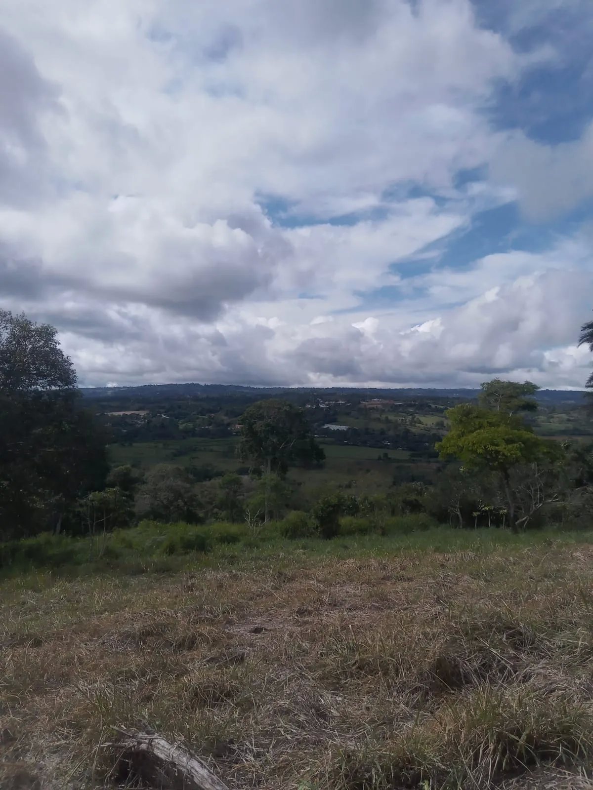 Venta de finca de cafe y platano en Rio Sereno