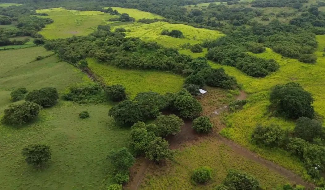 Farm For Sale in Río Salado