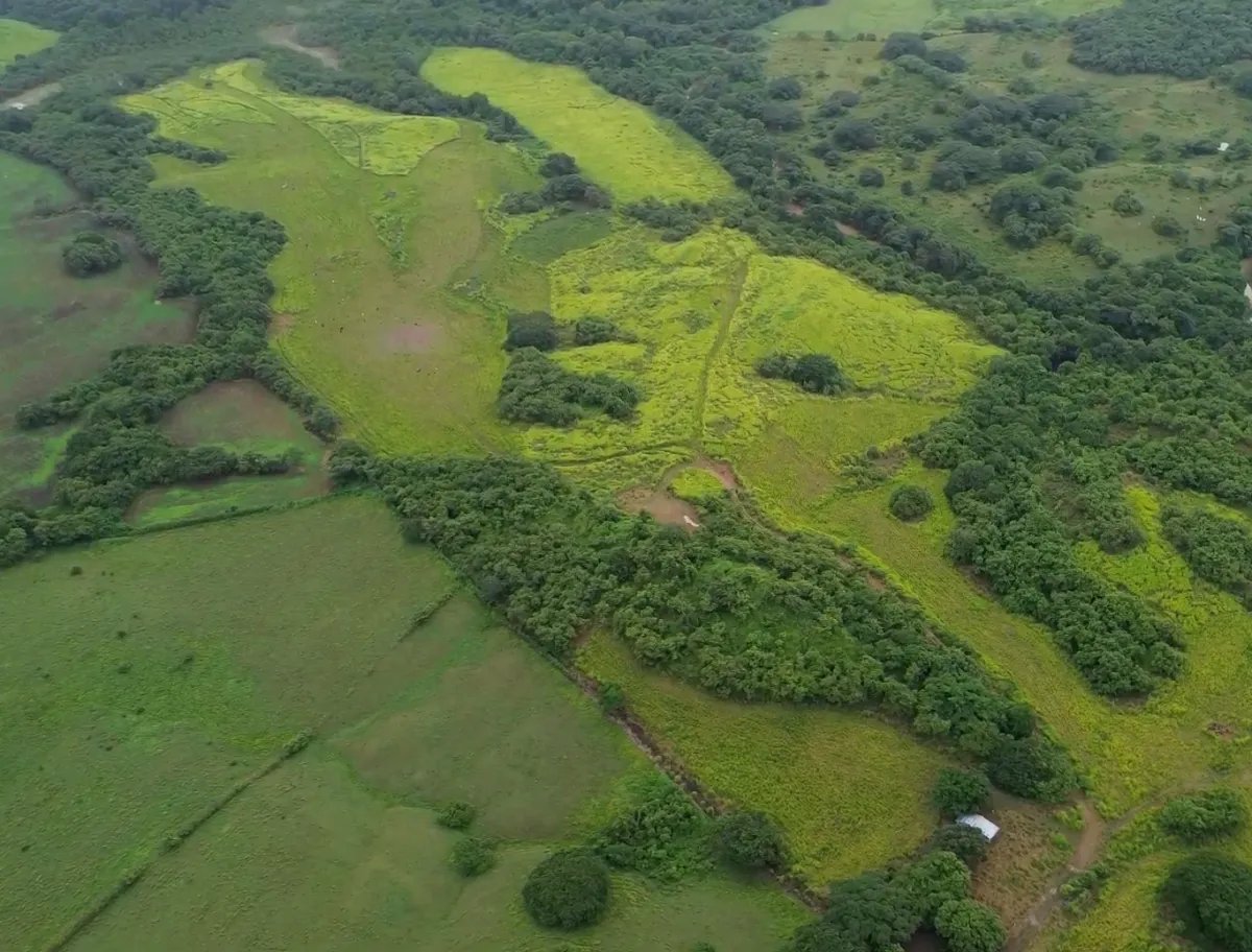 Farm For Sale in Río Salado