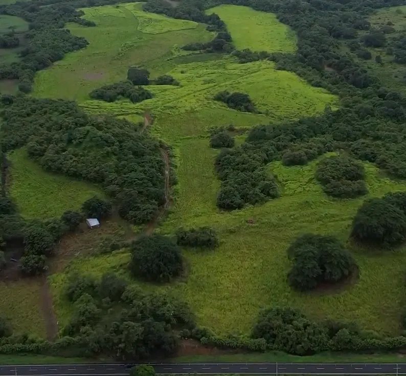 Farm For Sale in Río Salado