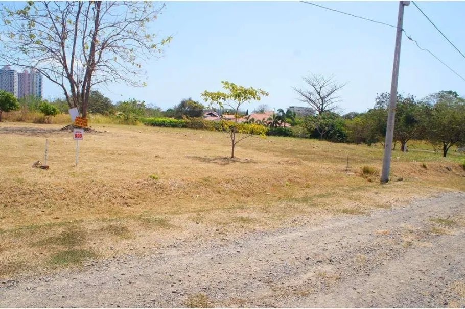 Unimproved Land For Sale in Coronado