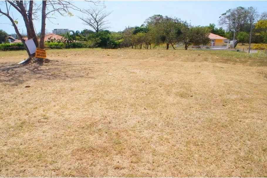Unimproved Land For Sale in Coronado