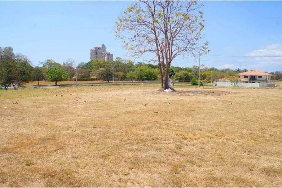 Unimproved Land For Sale in Coronado