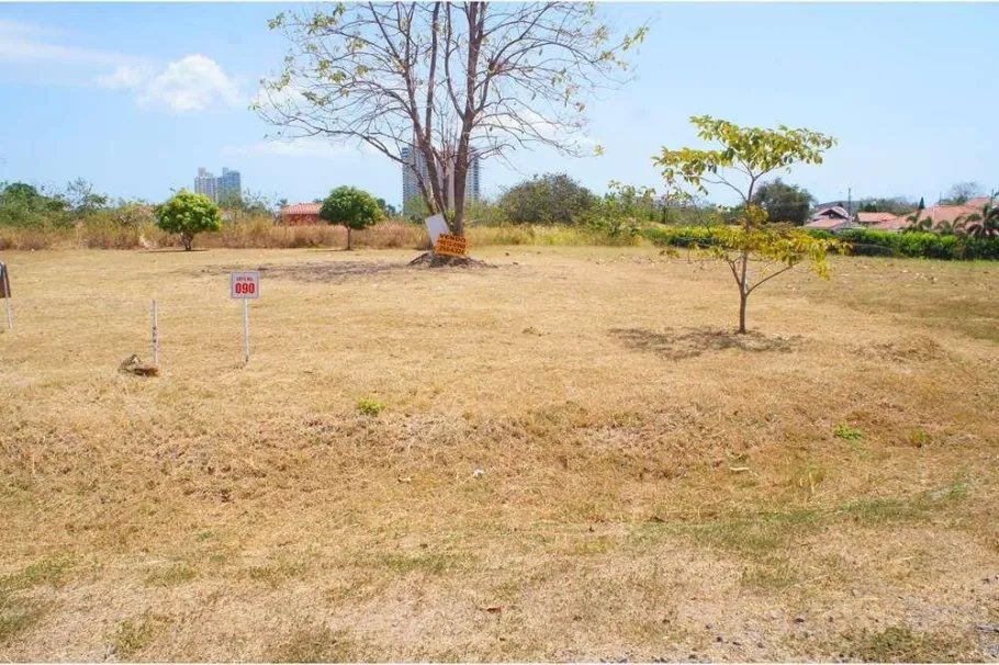 Unimproved Land For Sale in Coronado