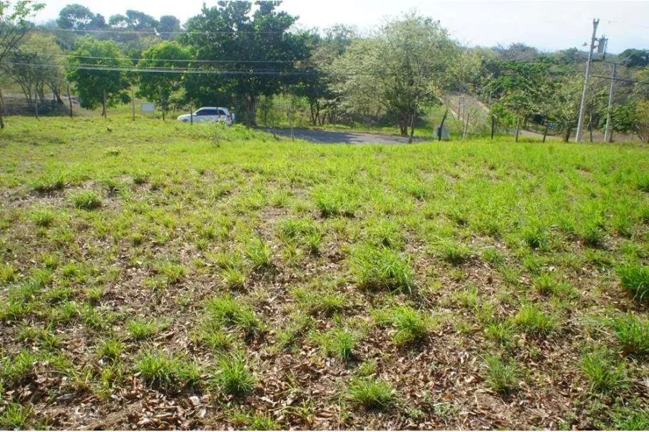 Lote de Casa en Venta en Las Uvas de San Carlos