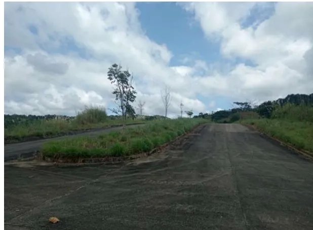 Unimproved Land For Sale in Green Valley