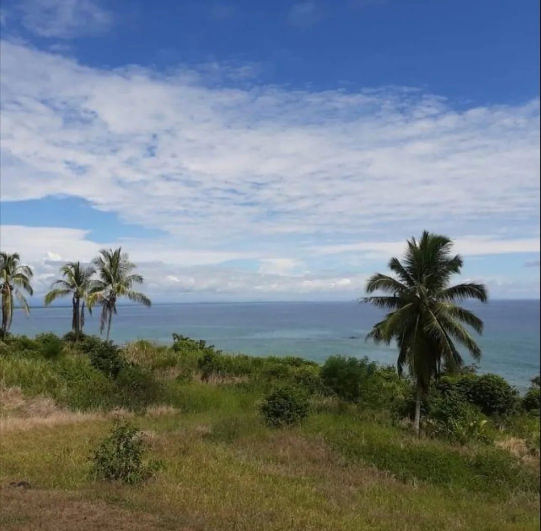 Business For Sale in Venta de Terreno en Puerto Armuelles