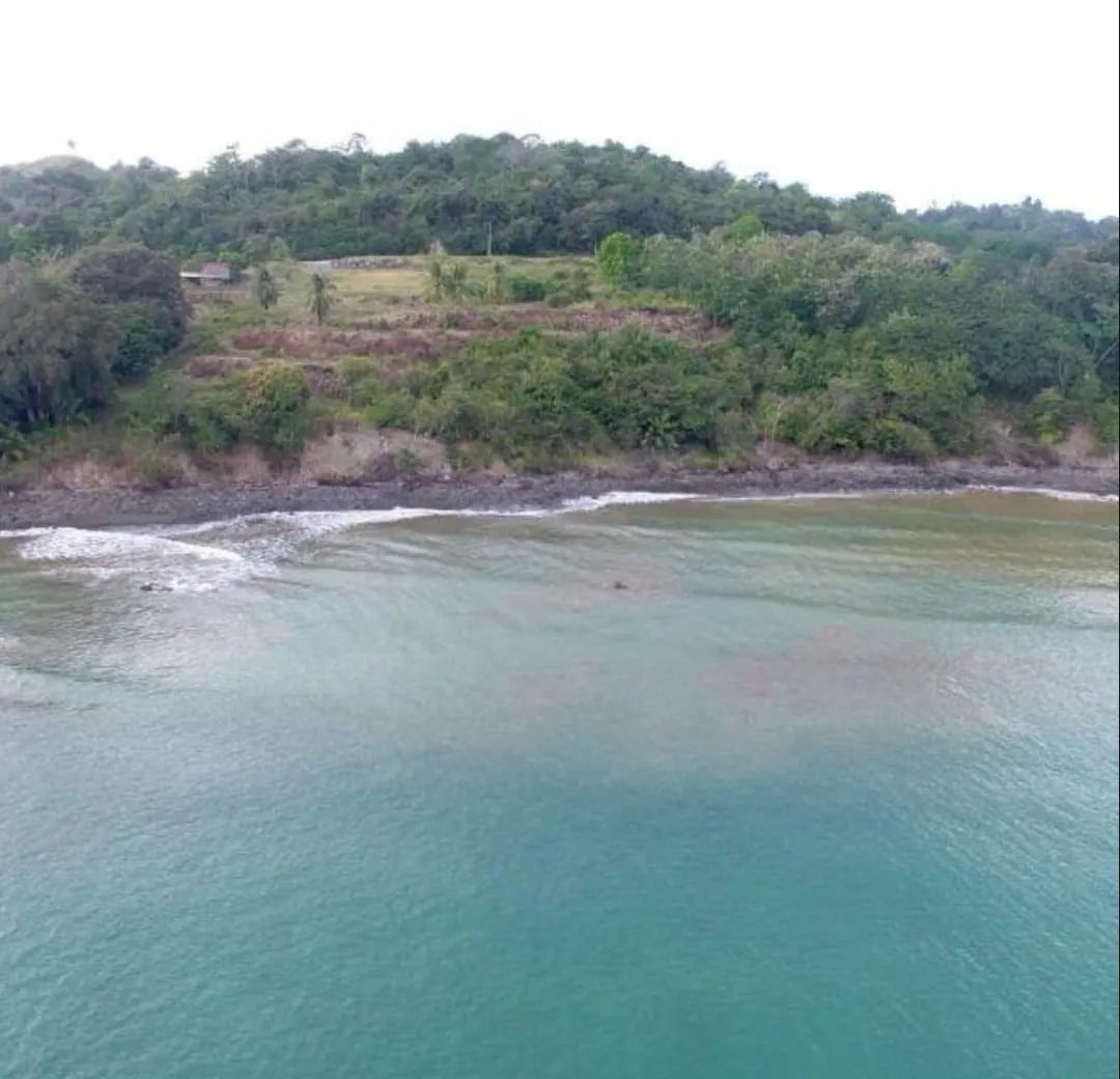Business For Sale in Venta de Terreno en Puerto Armuelles