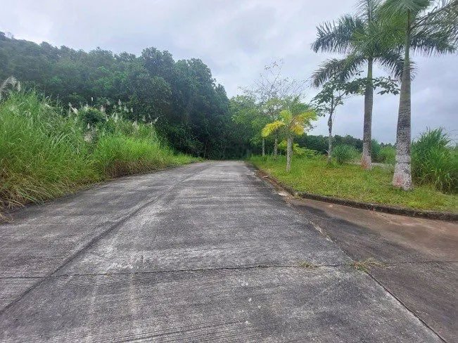 Business For Sale in Pedregal