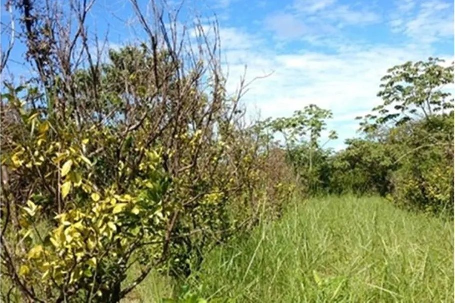 Land For Sale in Vía a Calobre