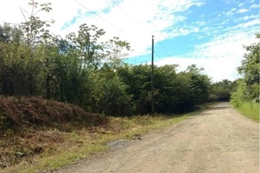 Land For Sale in Vía a Calobre