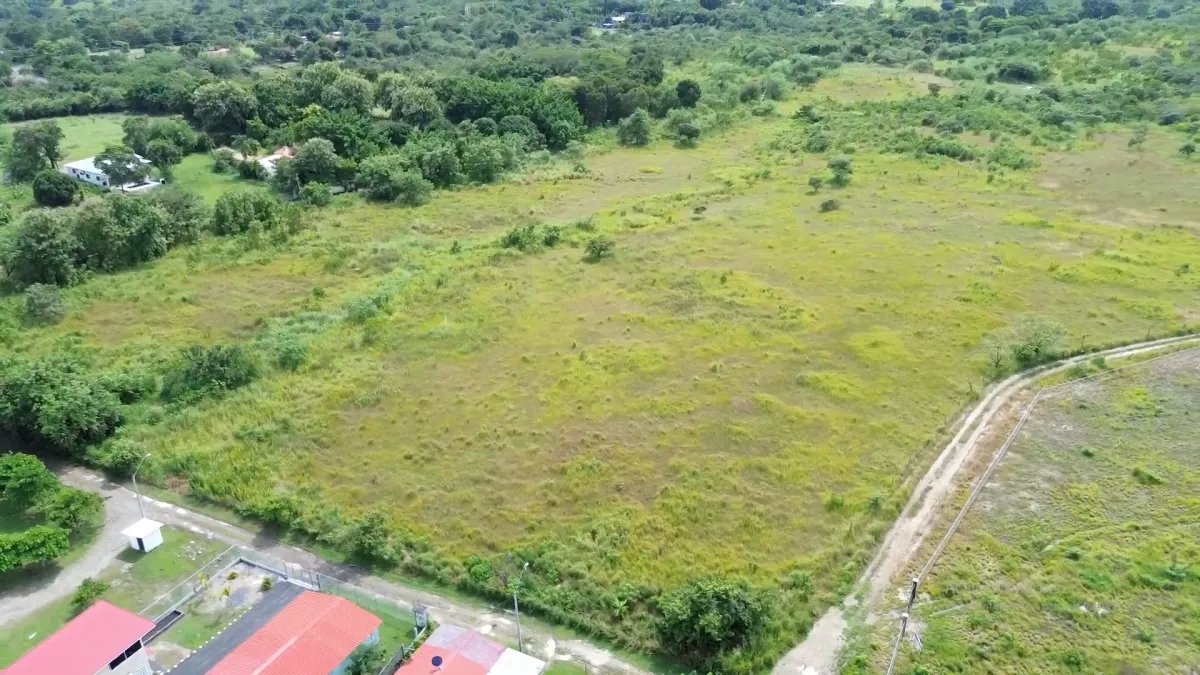 Unimproved Land For Sale in Punta Barco Vieja