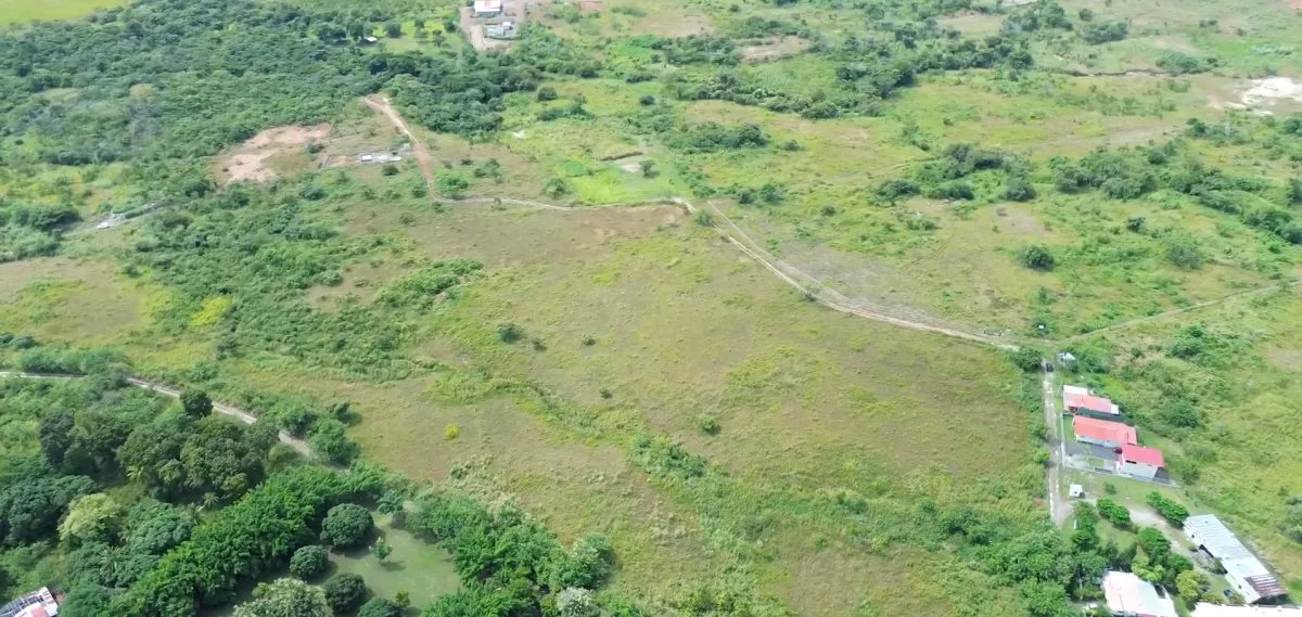 Unimproved Land For Sale in Punta Barco Vieja