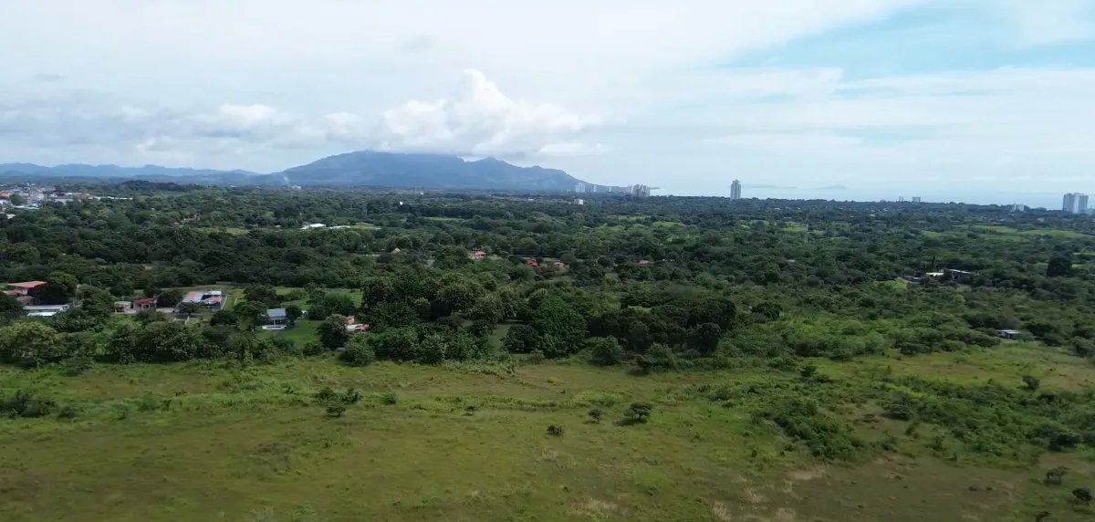 Unimproved Land For Sale in Punta Barco Vieja