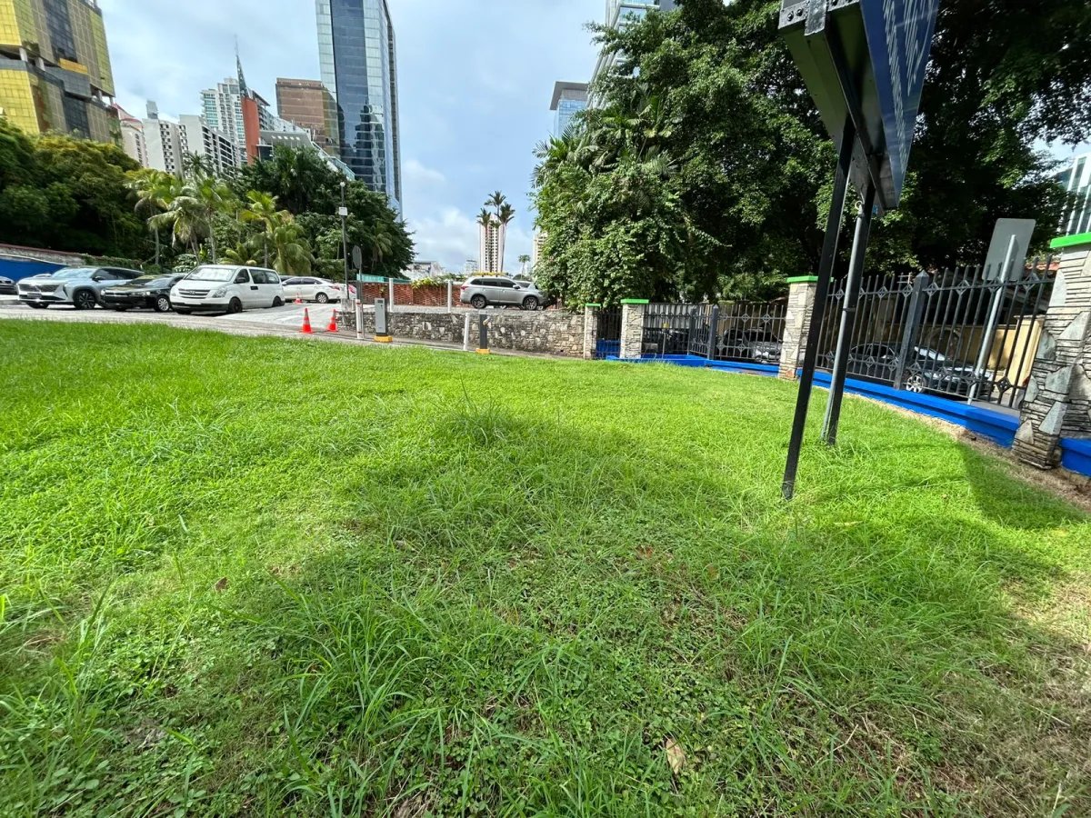 Mixed Use For Sale in Avenida Nicanor de Obarrio