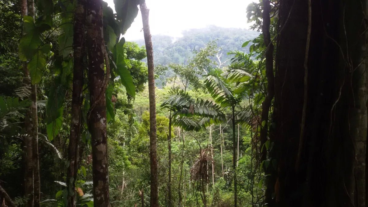 House For Sale in Changuinola a Guabito