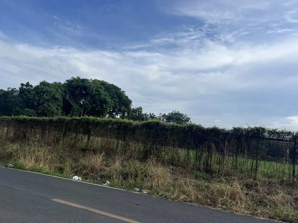 SE VENDE LOTE DE TERRENO EN PEDREGAL