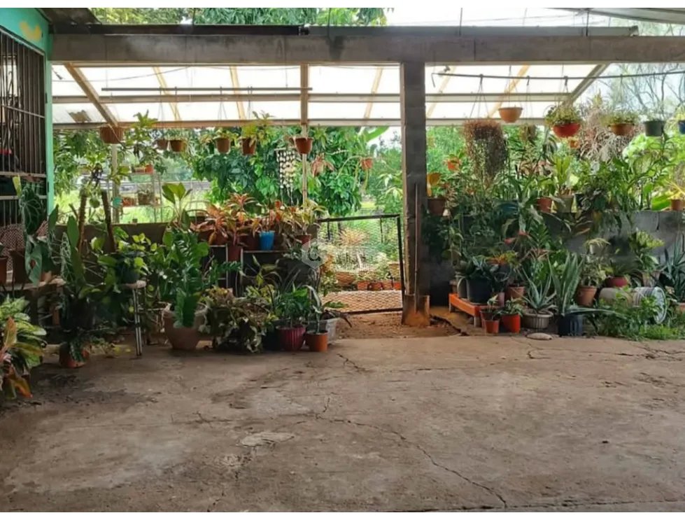 Single Family House for sale in Vacamonte