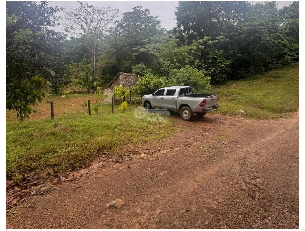 SE VENDE FINCA EN COCLE  LA PINTADA 17 HECTAREAS  FRENTE AL RIO