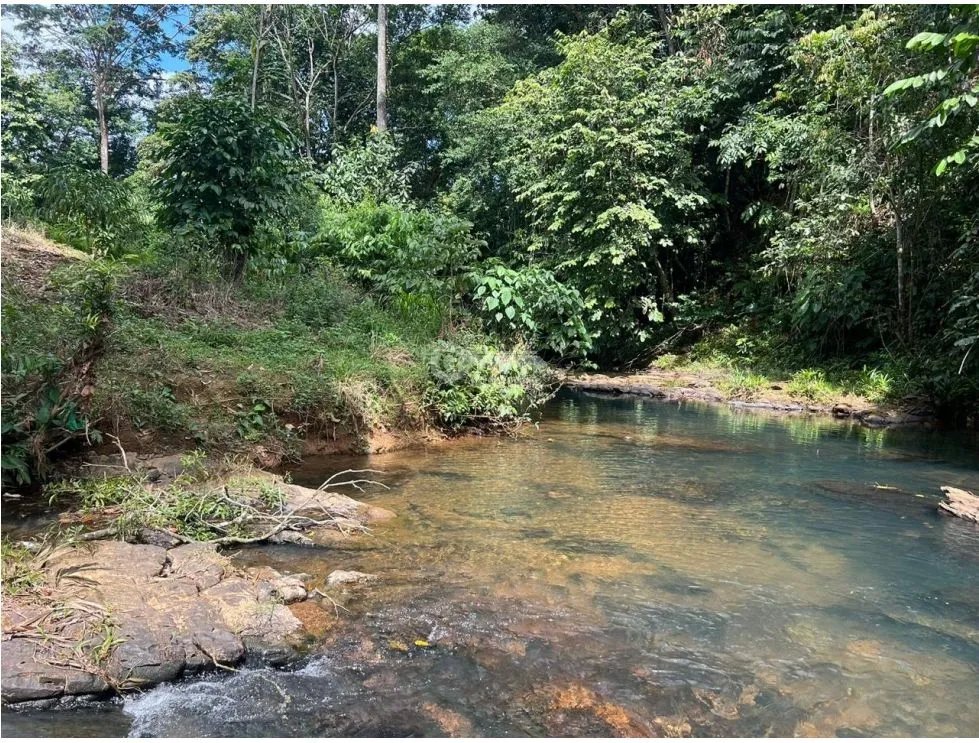 SE VENDE FINCA EN COCLE  LA PINTADA 17 HECTAREAS  FRENTE AL RIO