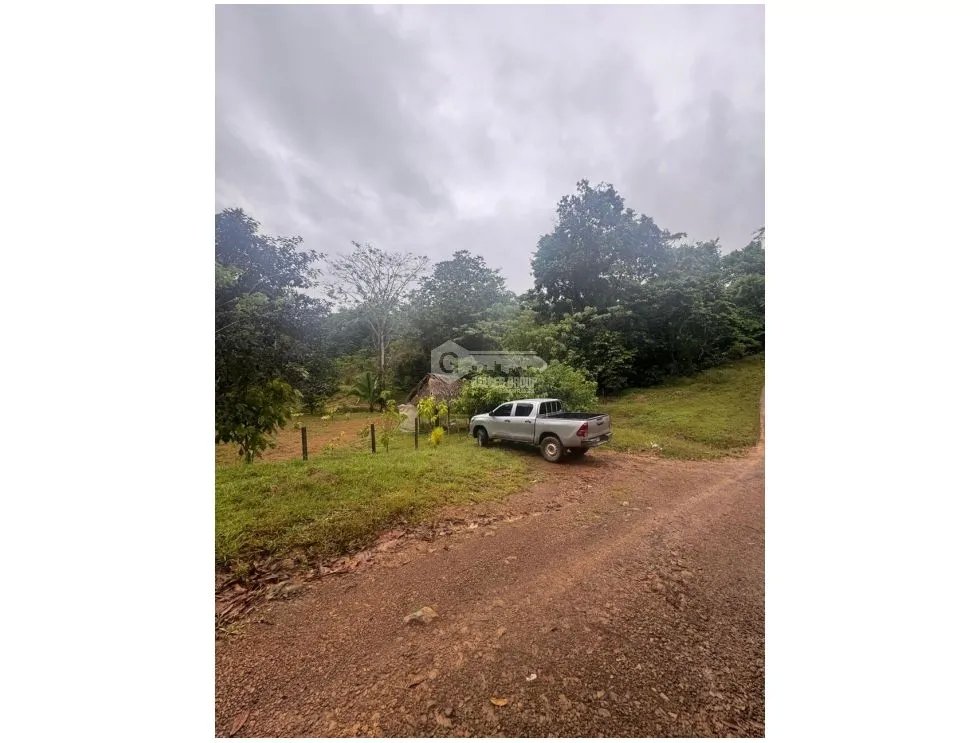 FINCA / COCLE / LA PINTADA / 17 HECTAREAS / FRENTE AL RIO