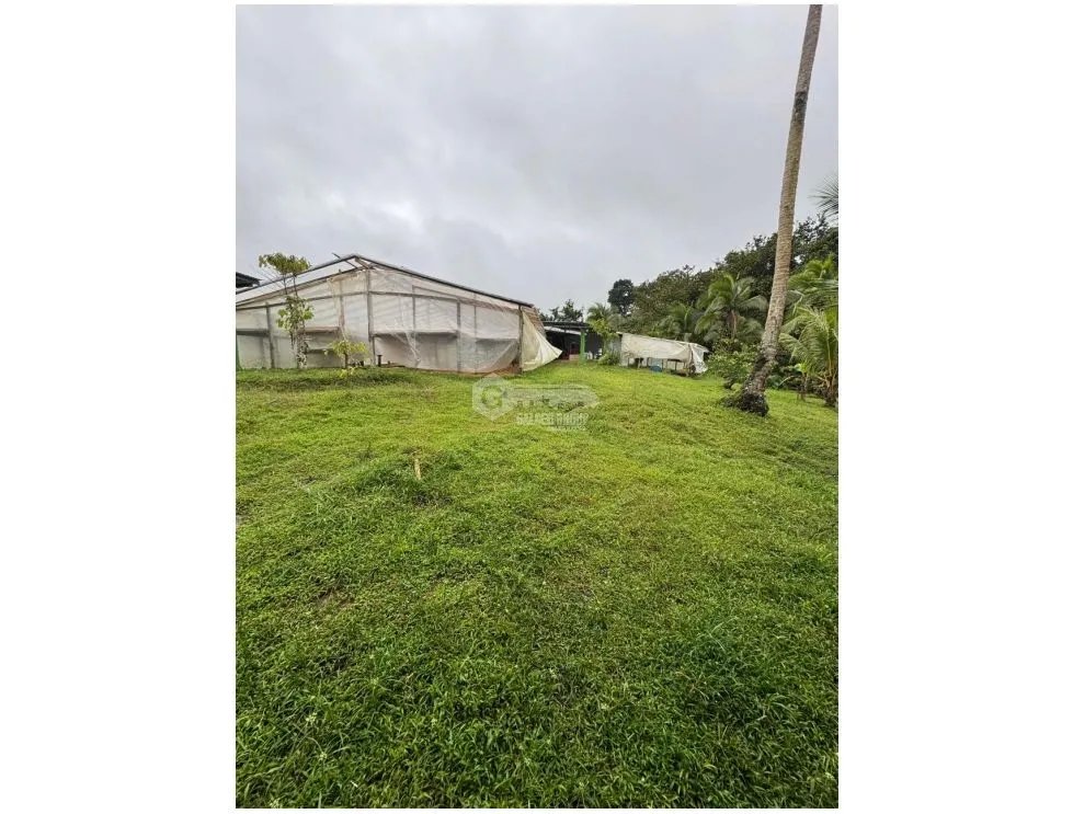 FINCA / COCLE / LA PINTADA / 17 HECTAREAS / FRENTE AL RIO
