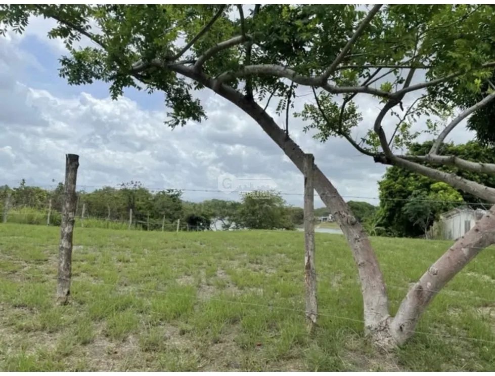 Building Lot for sale in San Carlos