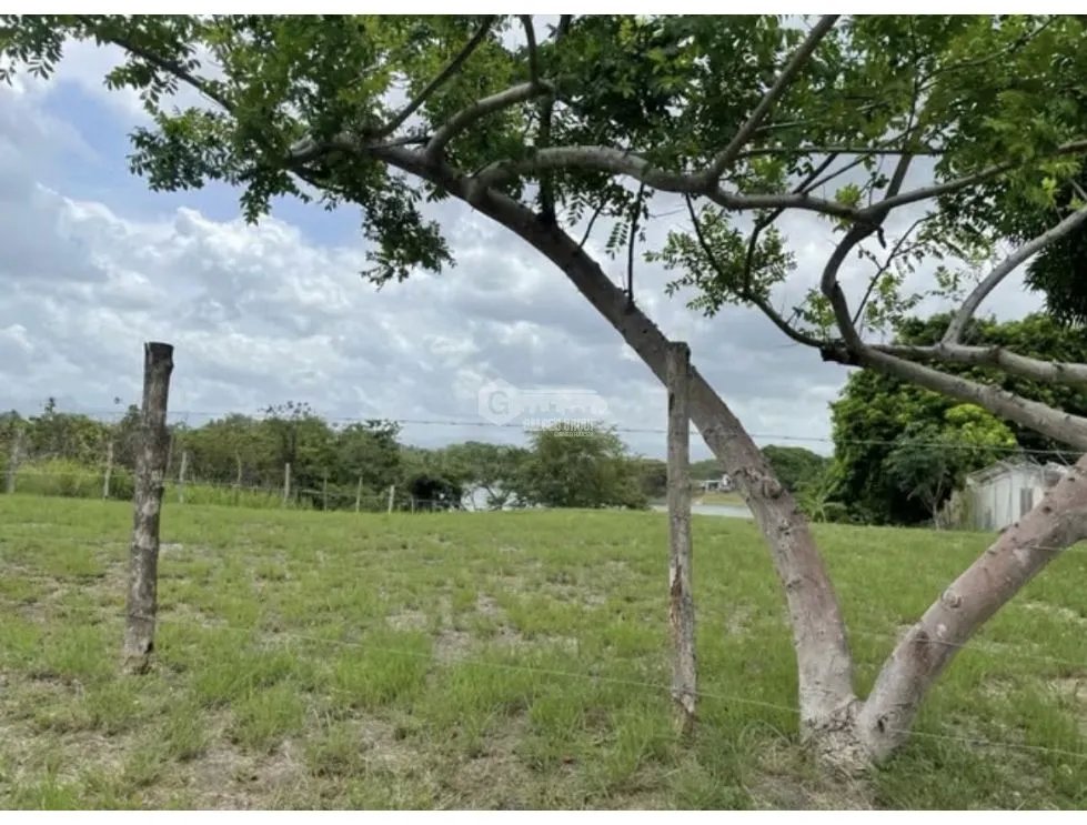 Building Lot for sale in San Carlos