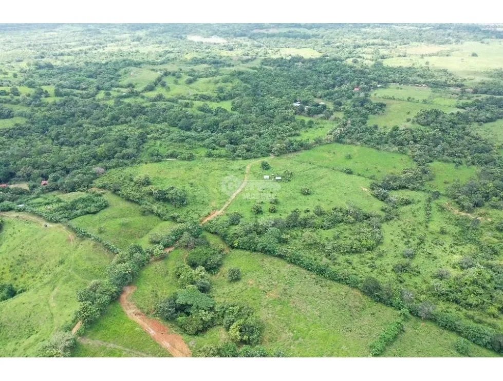 Land/Farm for sale in Chepo